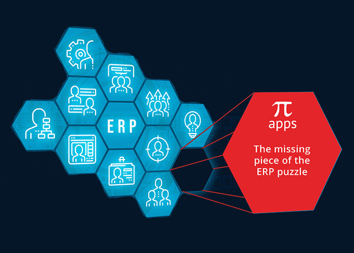 Missing Piece2 ERP 700X500 Lines